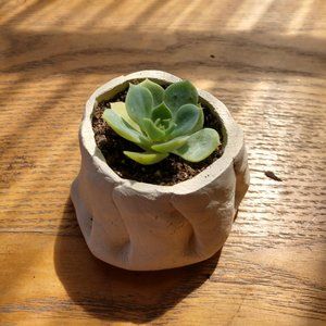 home decor succulent in mini handmade clay plant
